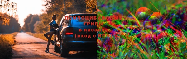 apvp Новокубанск