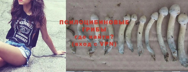 каннабис Новодвинск