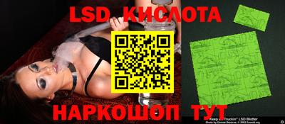 прущие грибы Заводоуковск