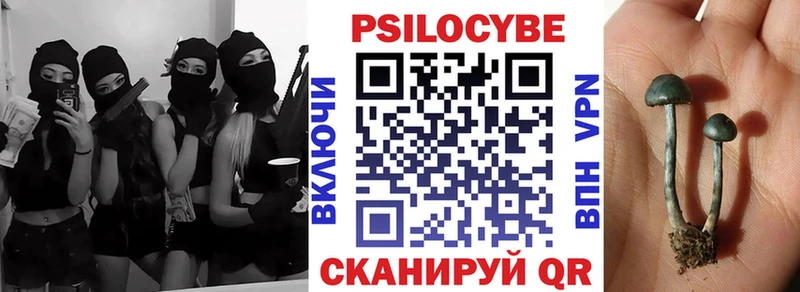как найти наркотики  Краснокамск  Псилоцибиновые грибы Magic Shrooms 