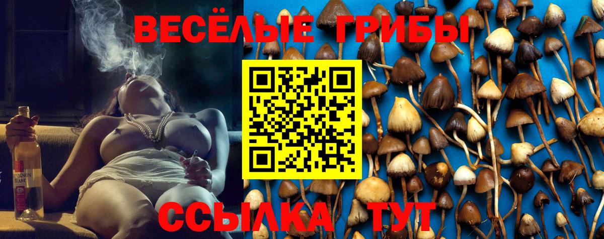 Галлюциногенные грибы мицелий Краснокамск