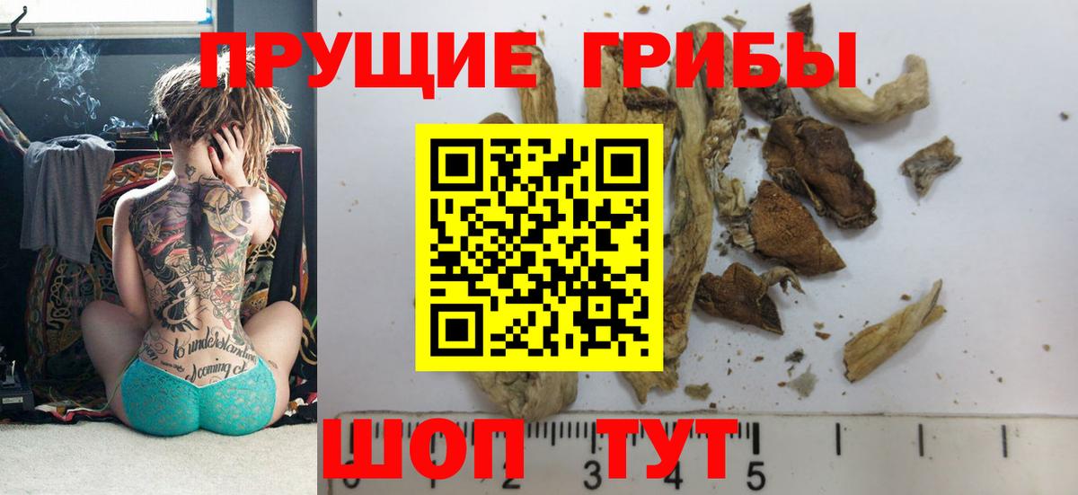 Краснокамск  Псилоцибиновые грибы MAGIC MUSHROOMS  Галлюциногенные грибы мицелий  Вход с VPN 